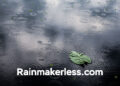 Rainmakerless.com